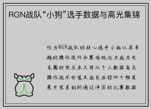 RGN战队“小狗”选手数据与高光集锦