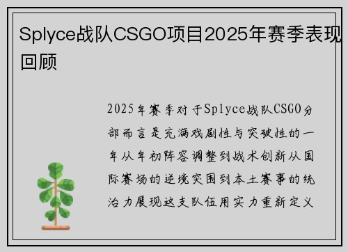 Splyce战队CSGO项目2025年赛季表现回顾