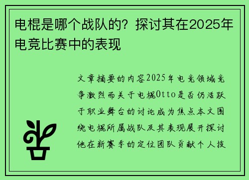 电棍是哪个战队的？探讨其在2025年电竞比赛中的表现